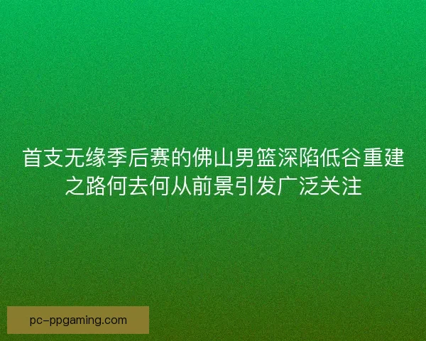 首支无缘季后赛的佛山男篮深陷低谷重建之路何去何从前景引发广泛关注